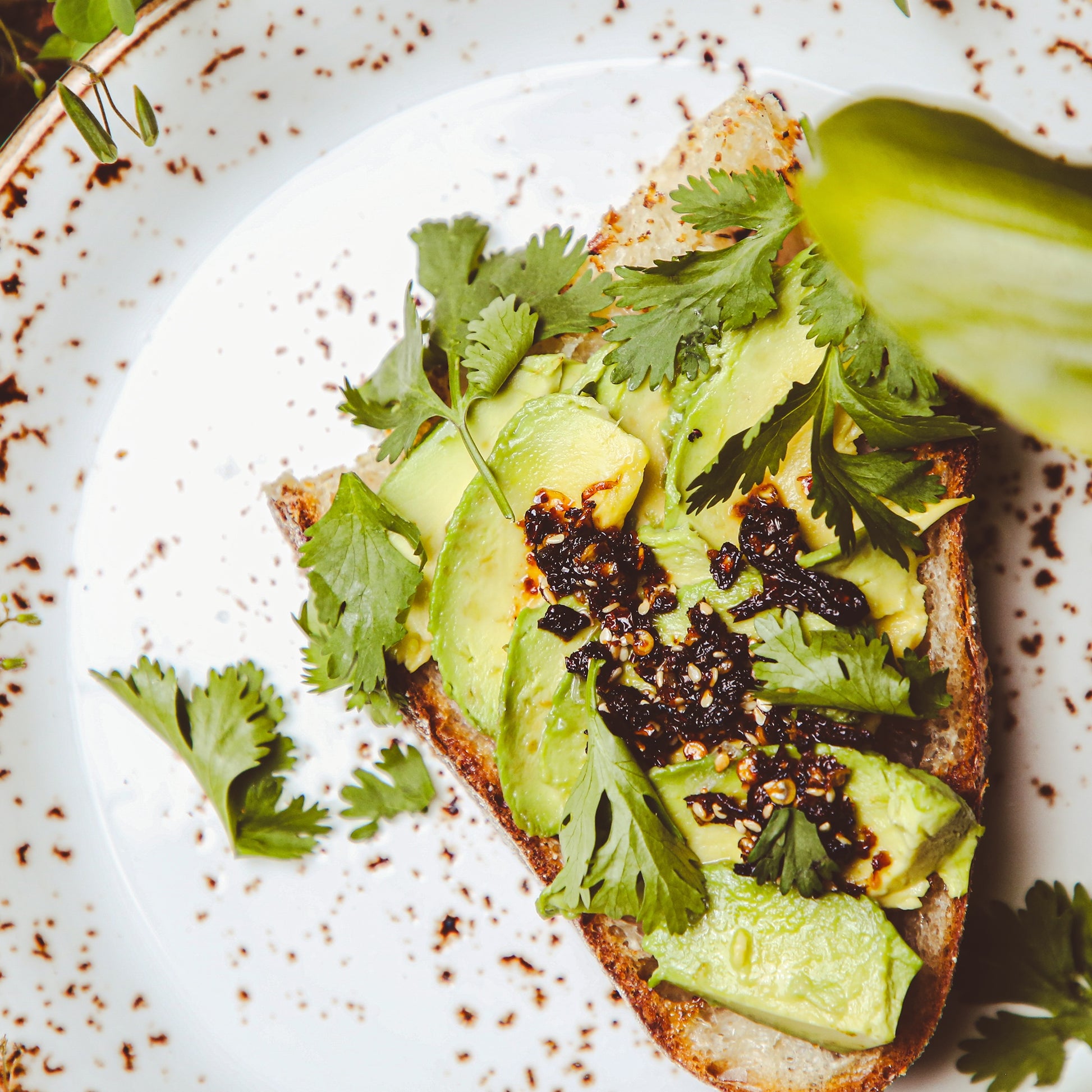 Close-up of avocado toast with cilantro and chile sauce on stoneware plate.
