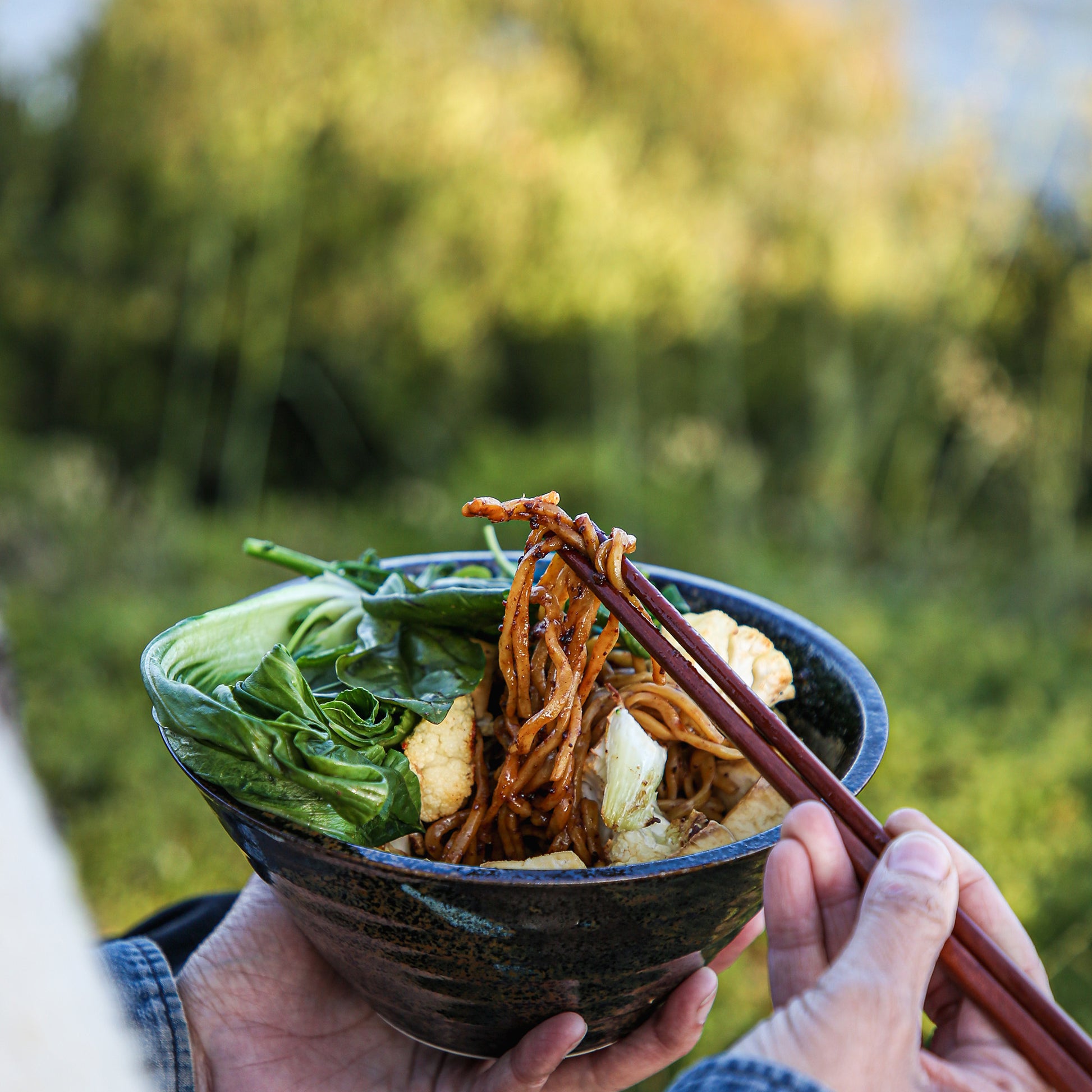 Chopsticks lifting sauced noodles from bowl with vegetables held in garden.